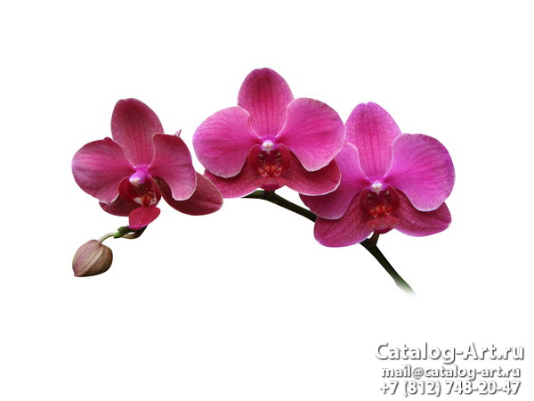Натяжные потолки с фотопечатью - Розовые орхидеи 65